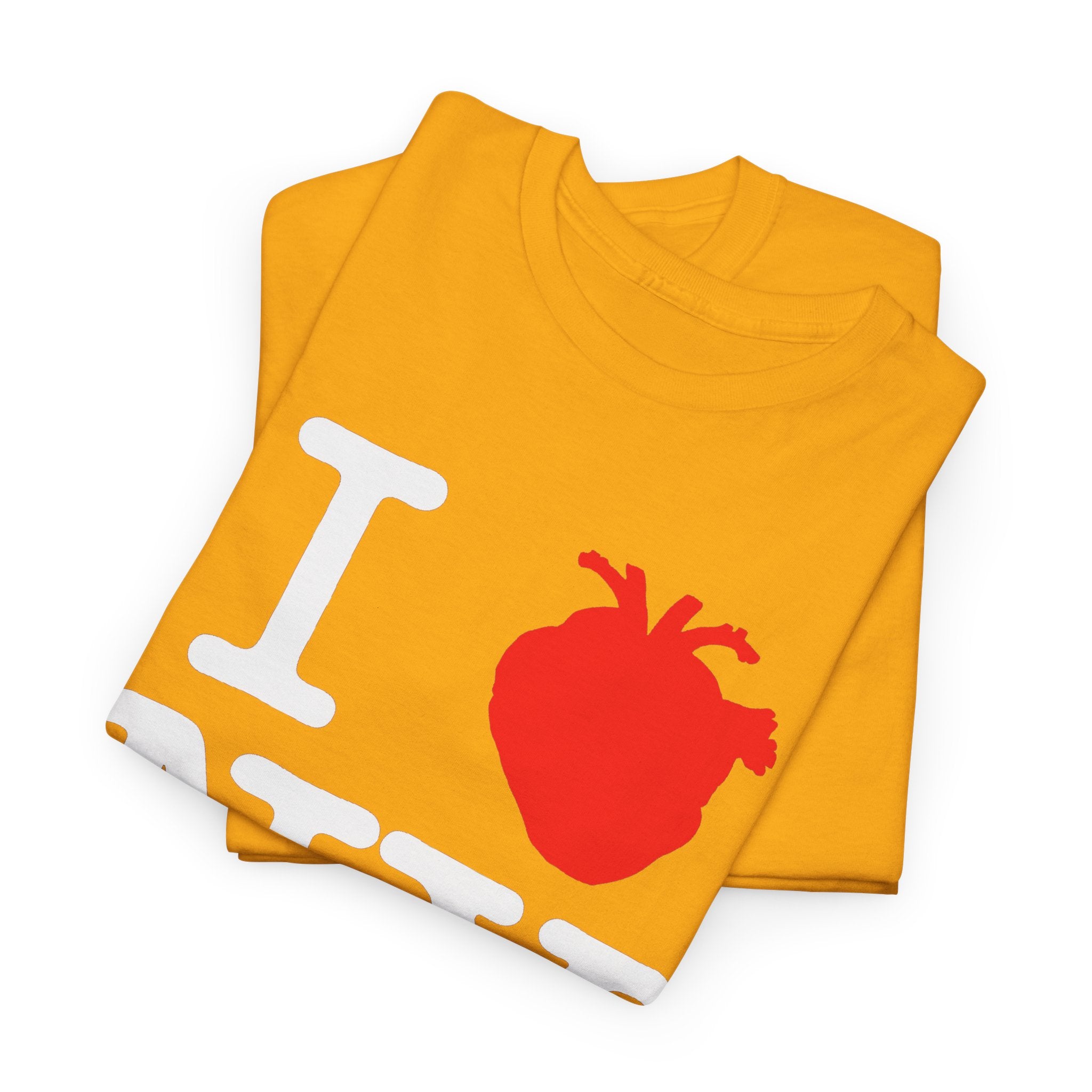 I  NY Anatomical Heart T‑Shirt — NYC Souvenir Tee